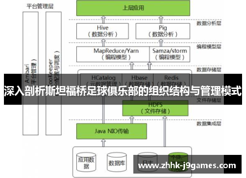 深入剖析斯坦福桥足球俱乐部的组织结构与管理模式